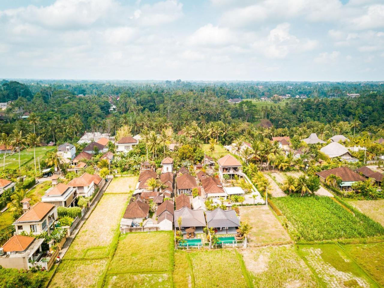 Sitala Villa Ubud Extérieur photo